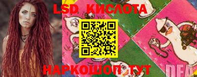 прущие крисы Нальчик