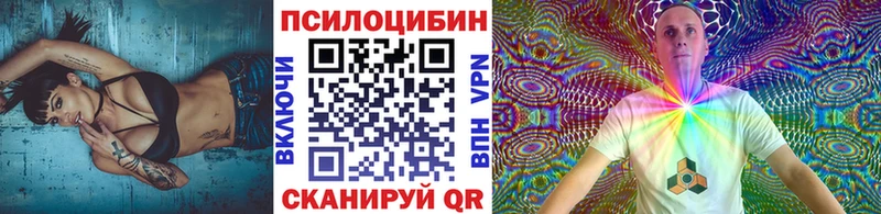 Псилоцибиновые грибы GOLDEN TEACHER  блэк спрут как зайти  Тара 