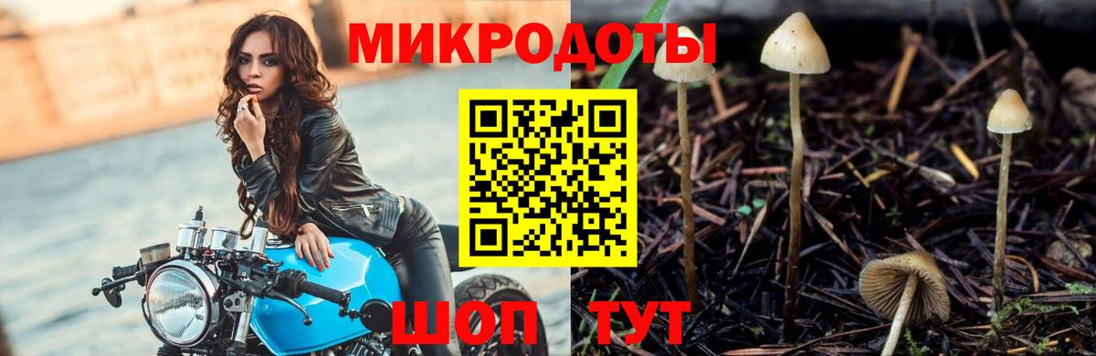 Псилоцибиновые грибы мухоморы  Вход с VPN  Тара 
