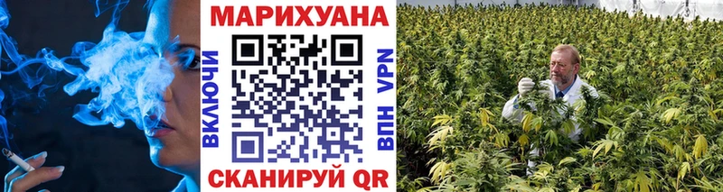 Бошки Шишки план OMG зеркало Тара